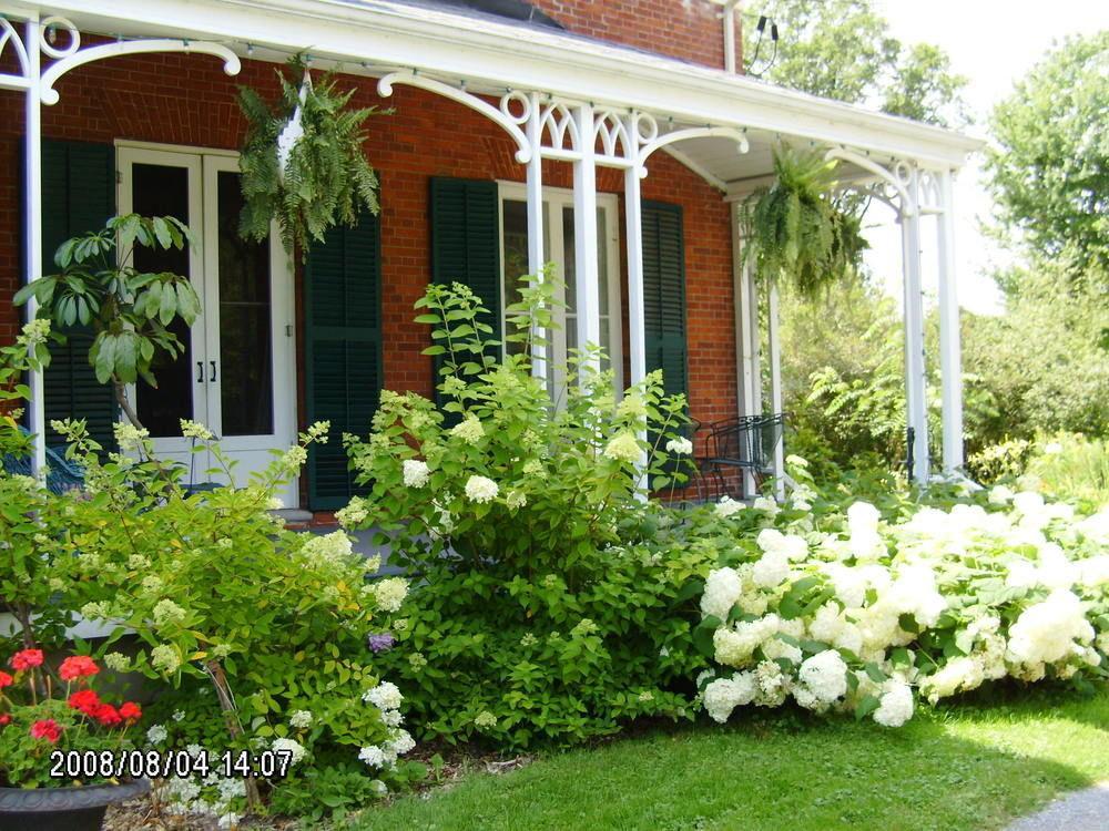 Bed and Breakfast Mackechnie House Кобург Экстерьер фото